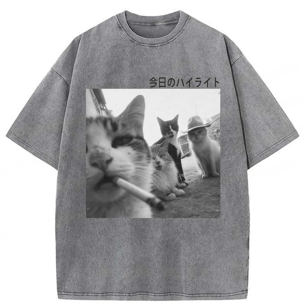 Tokyoviva Wonderful Moments Cats Washed T-shirt