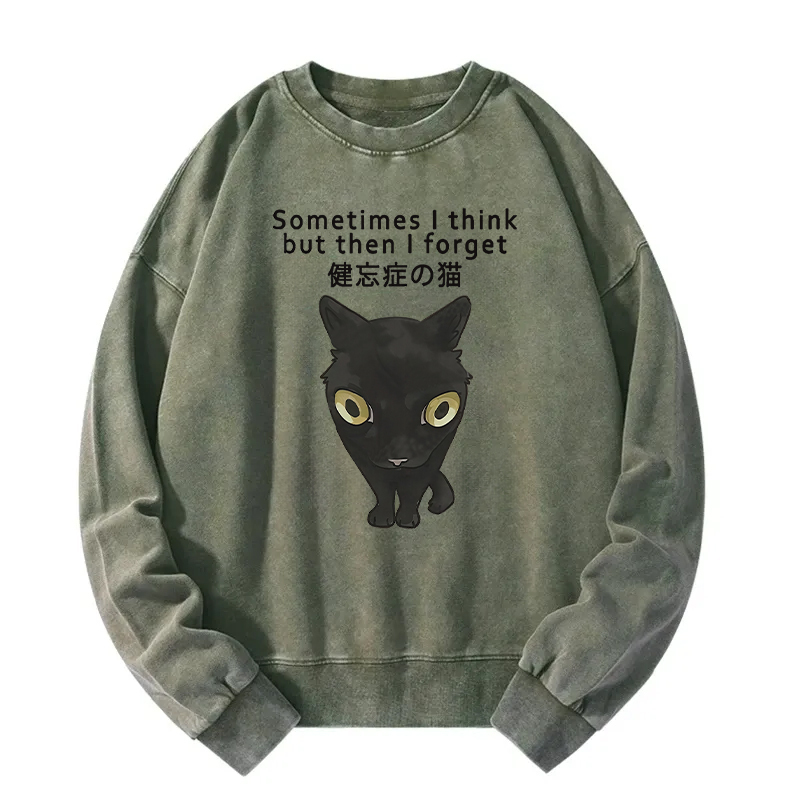 Amnesiac Cat Washed Sweatshirt