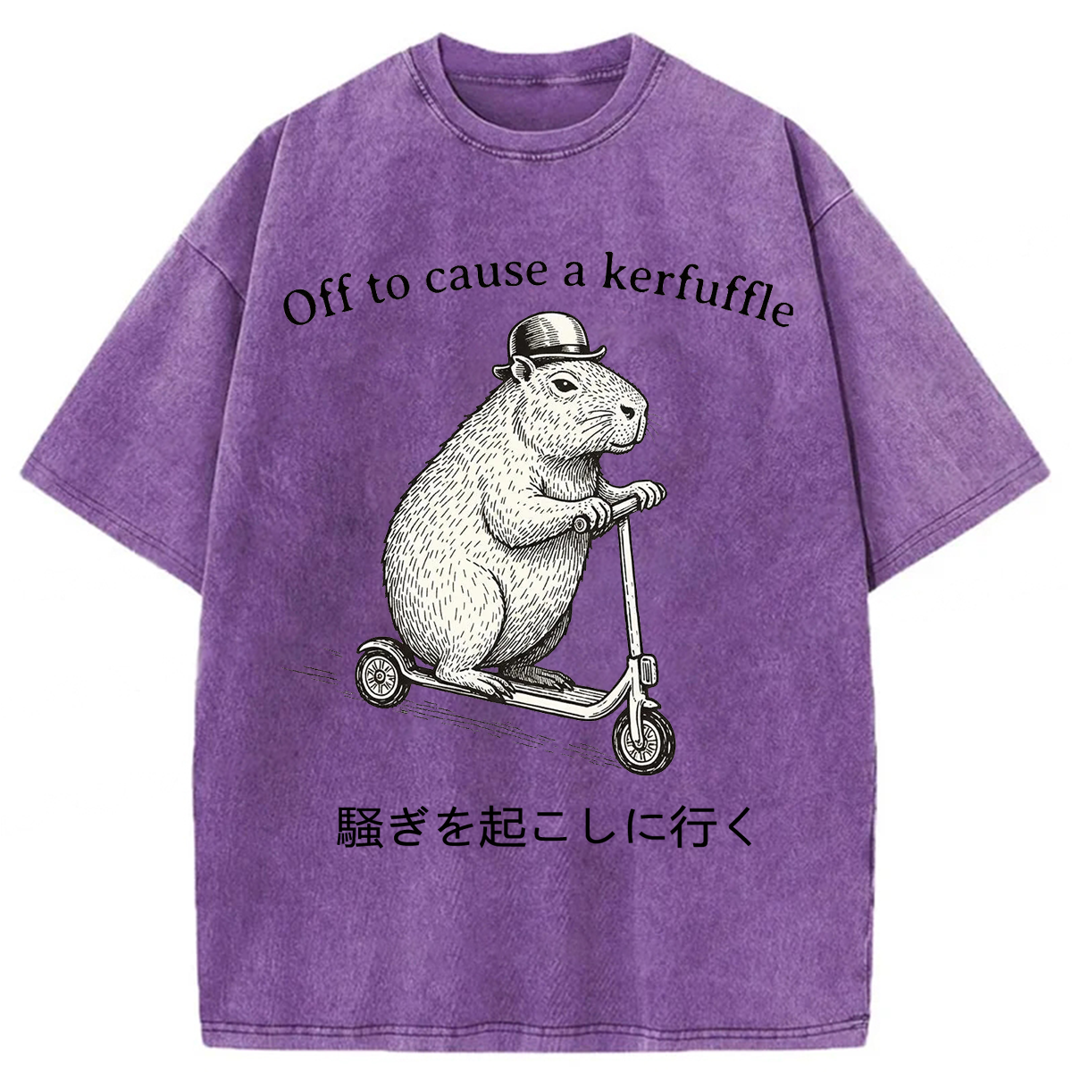 Tokyoviva Japanese Off To Cause A Kerfuffle Washed T-shirt