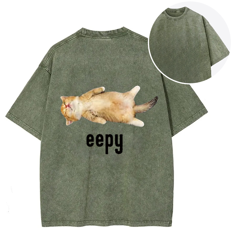 Silly Sleepy Cat Meme Back Washed T-Shirt