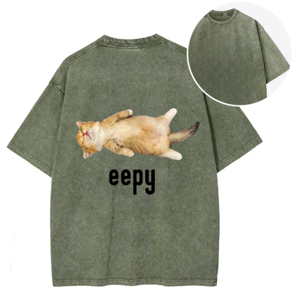 Silly Sleepy Cat Meme Back Washed T-Shirt