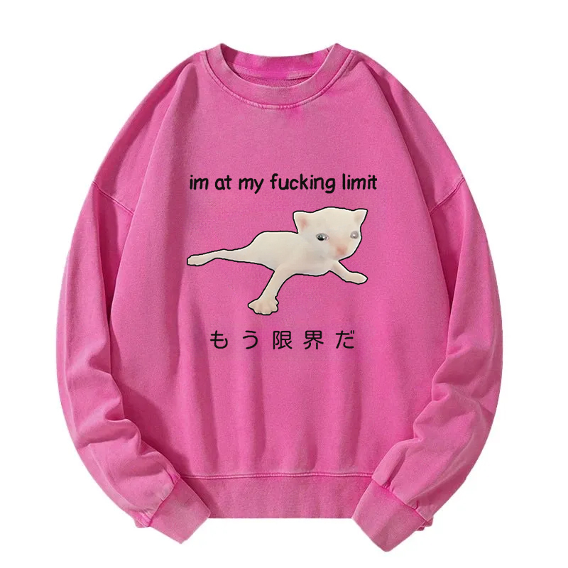 Cat Reaching Its Limit Washed Sweatshirt
