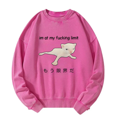 Cat Reaching Its Limit Washed Sweatshirt
