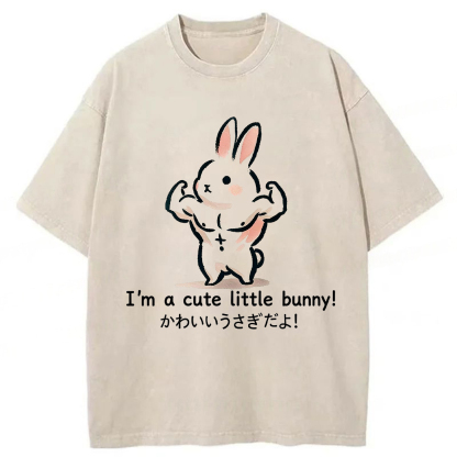 Tokyoviva Muscular Rabbit Washed T-Shirt