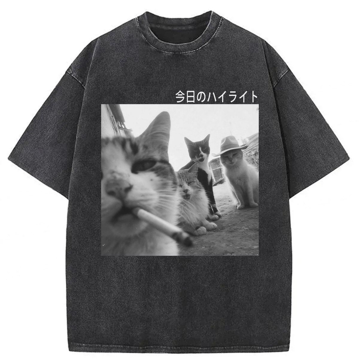 Tokyoviva Wonderful Moments Cats Washed T-shirt