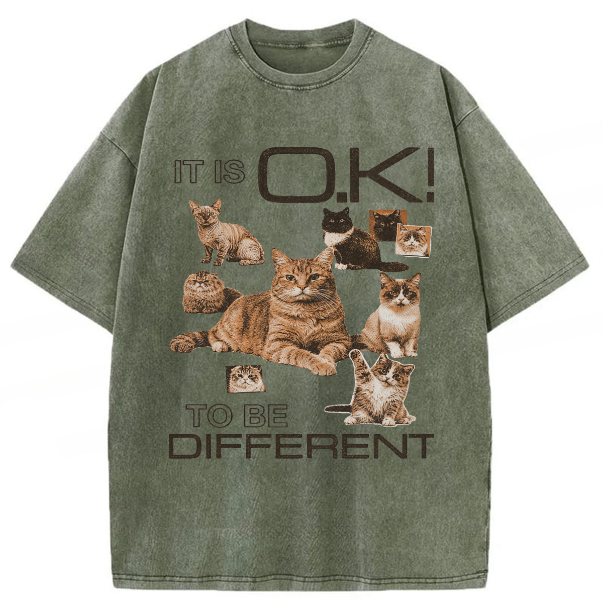 Tokyoviva Cat It's Ok To Be Different Washed T-shirt
