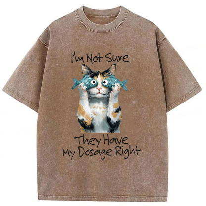 Tokyoviva Cat Meme Sarcastic Ironic Washed T-shirt