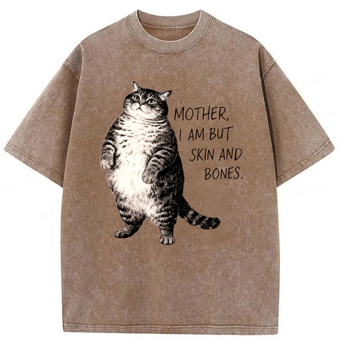 Tokyoviva Overweight Cat And Its Doting Owner Washed T-shirt