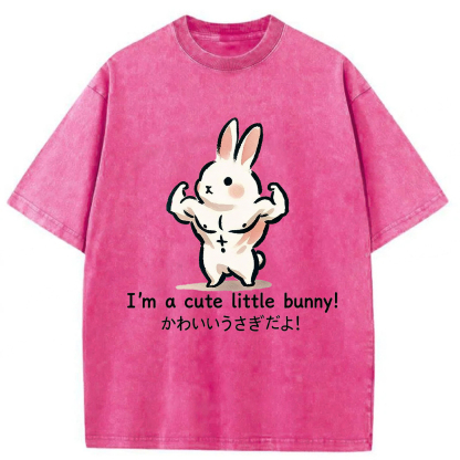 Tokyoviva Muscular Rabbit Washed T-Shirt