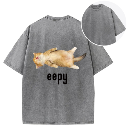 Silly Sleepy Cat Meme Back Washed T-Shirt