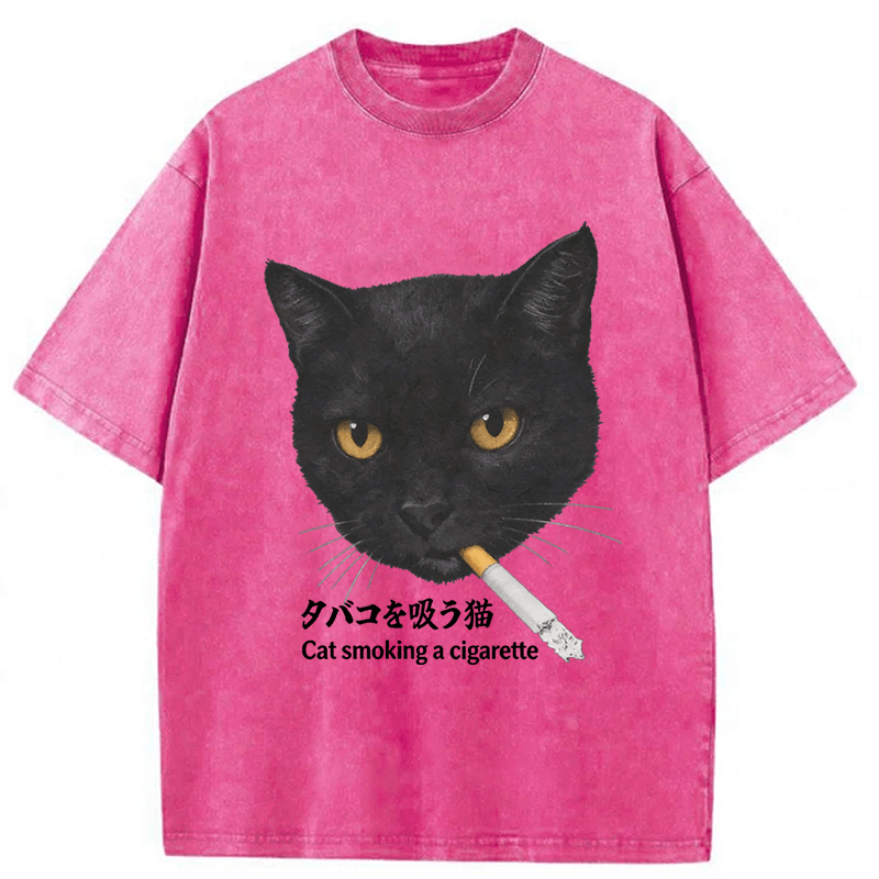 Tokyoviva Smoking Cat Y2K Washed T-shirt