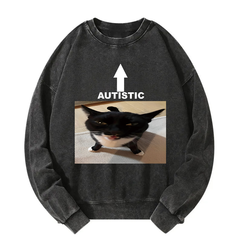 Autistic Cat Washed Sweatshirt