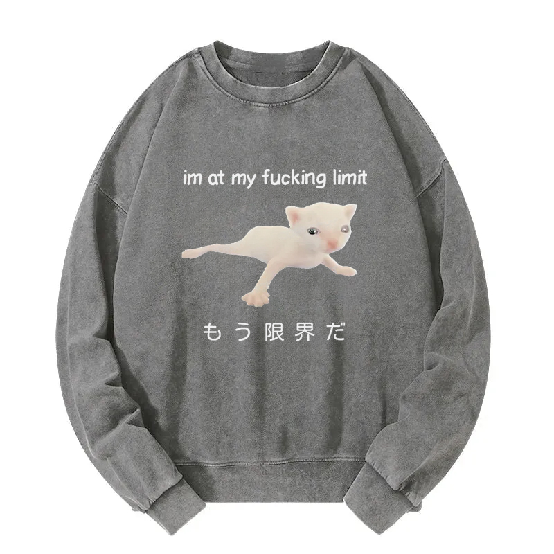 Cat Reaching Its Limit Washed Sweatshirt