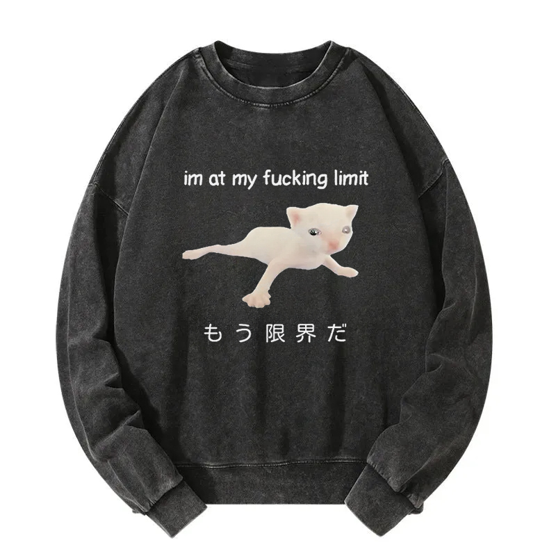 Cat Reaching Its Limit Washed Sweatshirt