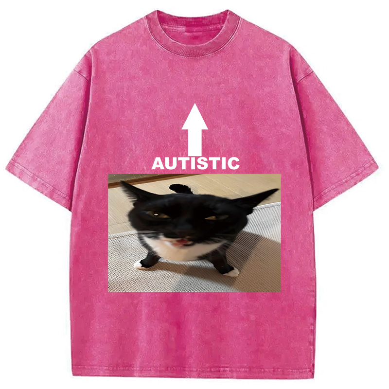 Autistic Cat Washed T-Shirt
