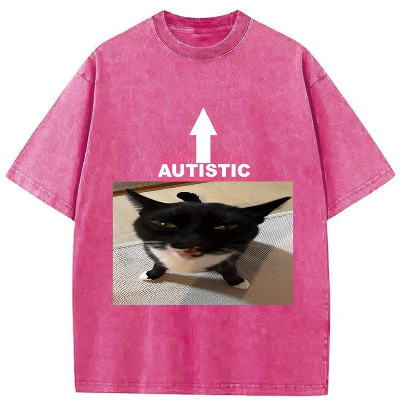 Autistic Cat Washed T-Shirt