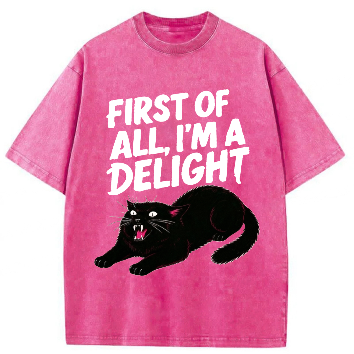 Tokyoviva Roaring Black Cat Washed T-shirt