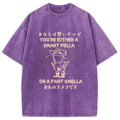 Are You A Smart Fella Or Fart Smella Washed T-Shirt