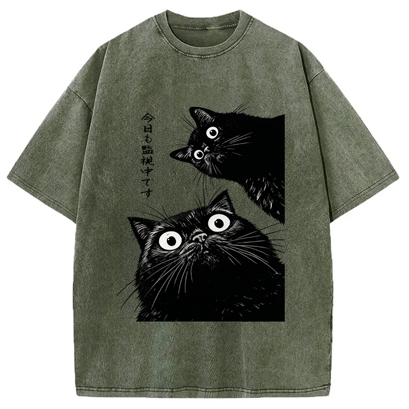 The Cat Is Watching Today Washed T-Shirt