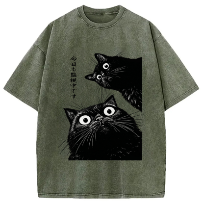 The Cat Is Watching Today Washed T-Shirt