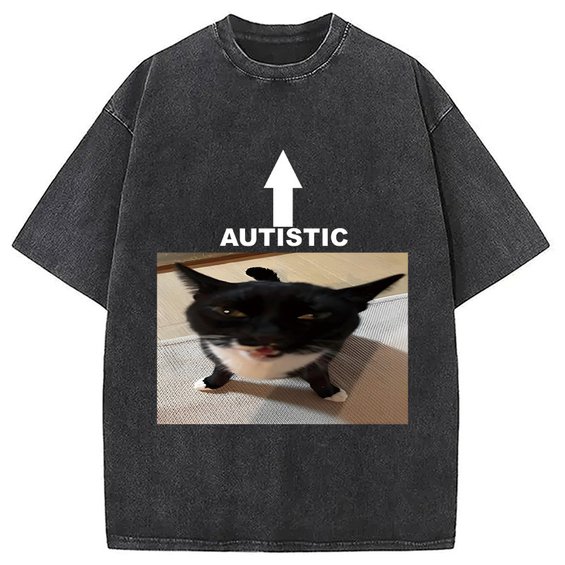 Autistic Cat Washed T-Shirt