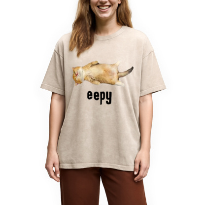 Silly Sleepy Cat Meme Washed T-Shirt