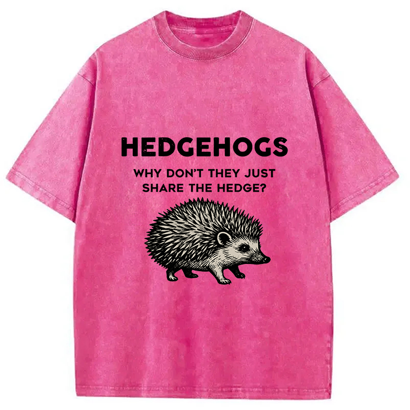 Funny Hedgehog Washed T-Shirt