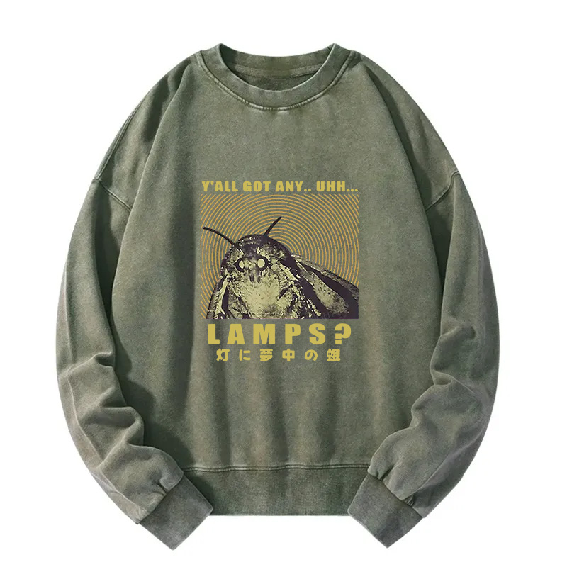 Moth Obsessed With The Light Washed Sweatshirt