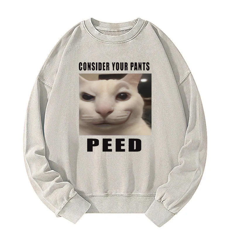 Consider Your Pants Peed Meme Washed Sweatshirt