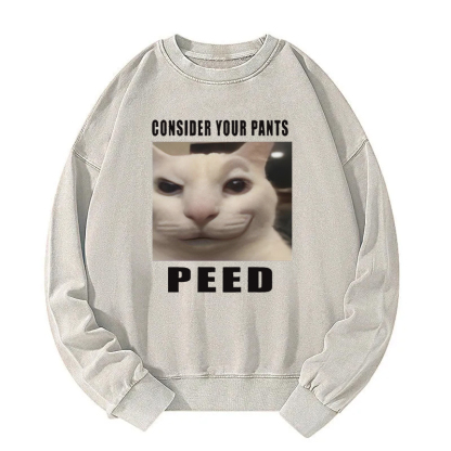 Consider Your Pants Peed Meme Washed Sweatshirt