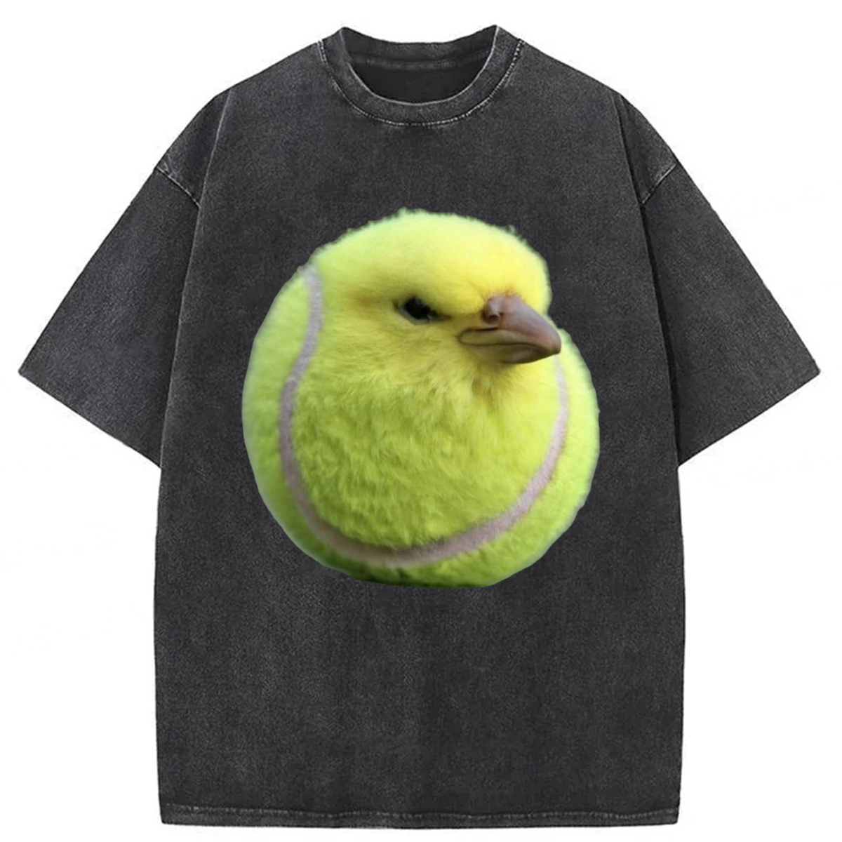 Tokyoviva Silly Bird Meme Washed T-shirt