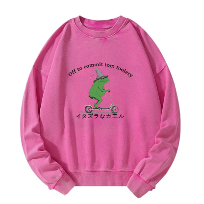 Stupid Frog Washed Sweatshirt