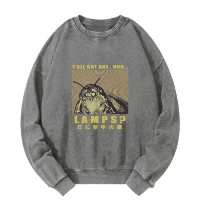Moth Obsessed With The Light Washed Sweatshirt