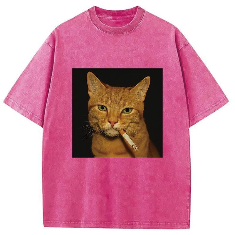Funny Orange Cat Smoking Meme Washed T-Shirt