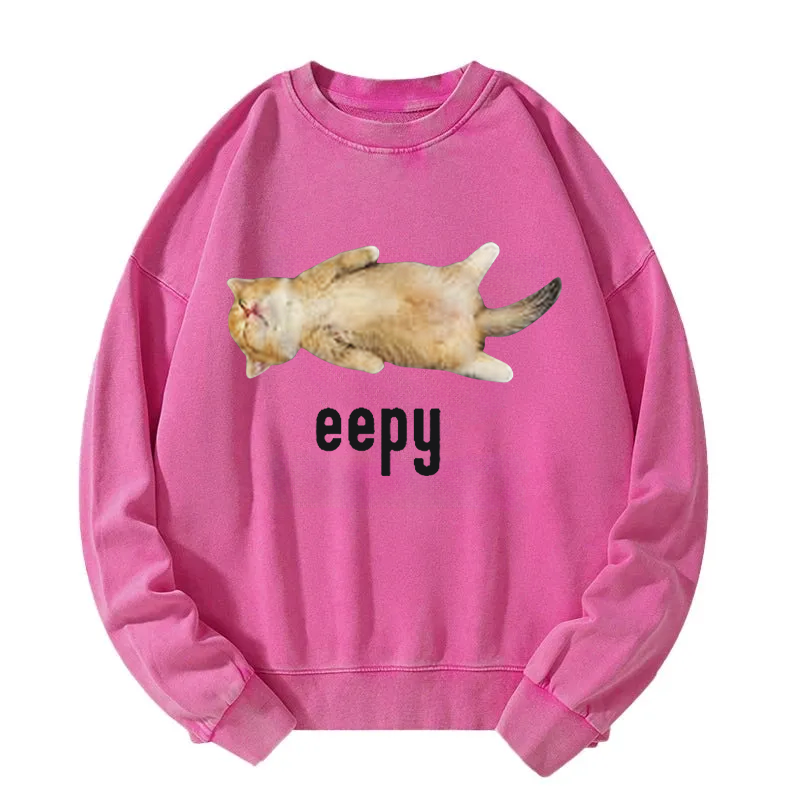 Silly Sleepy Cat Meme Washed Sweatshirt