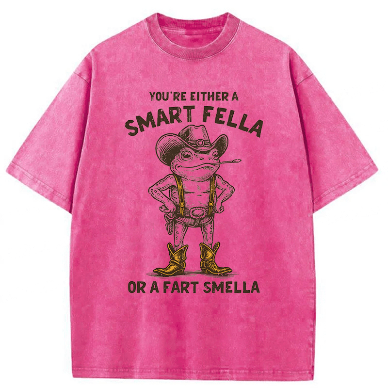 Tokyoviva Smart Fella Or Fart Smella Retro Cartoon Frog Washed T-shirt