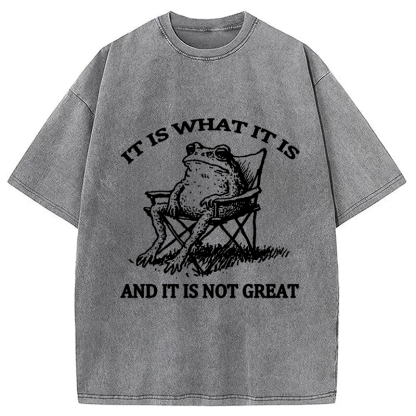 Resting Frog Funny Washed T-Shirt