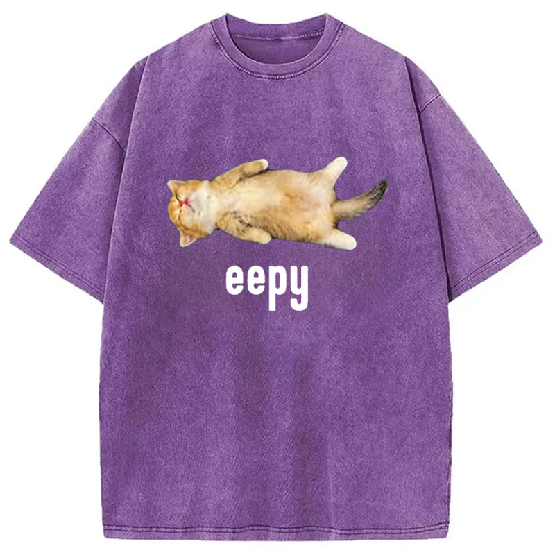 Tokyocanvas Silly Sleepy Cat Meme Washed T-Shirt