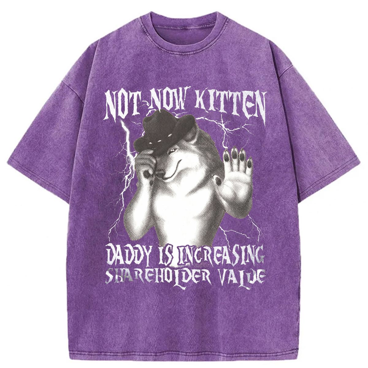 Tokyoviva Not Now Kitten Daddy Increasing Shareholder Value Washed T-shirt