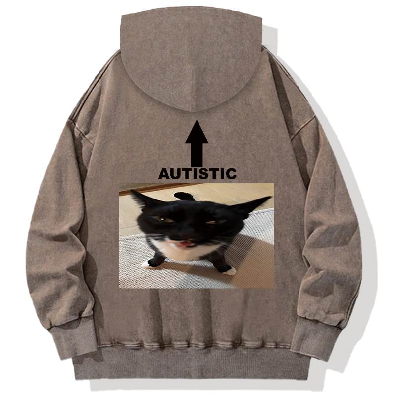 Autistic Cat Back Washed Hoodie