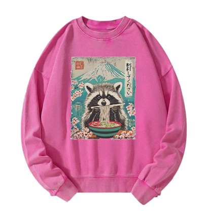 Please Give Raccoon A Discount Washed Sweatshirt