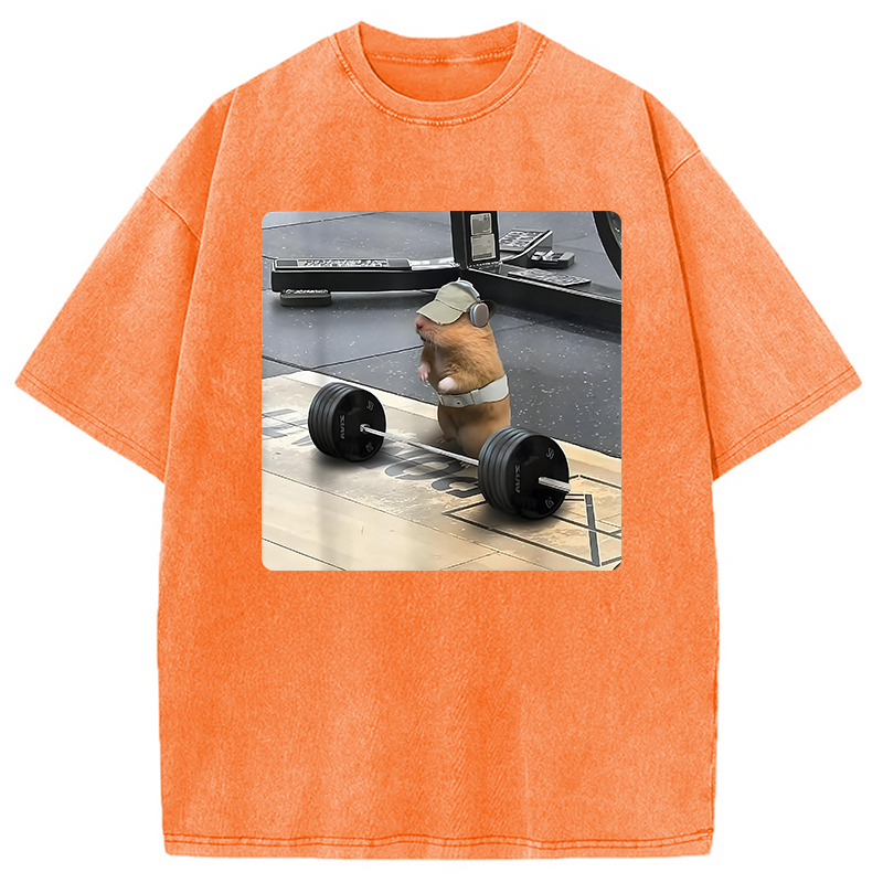 Funny Cute Rat Weightlifting Meme Washed T-Shirt