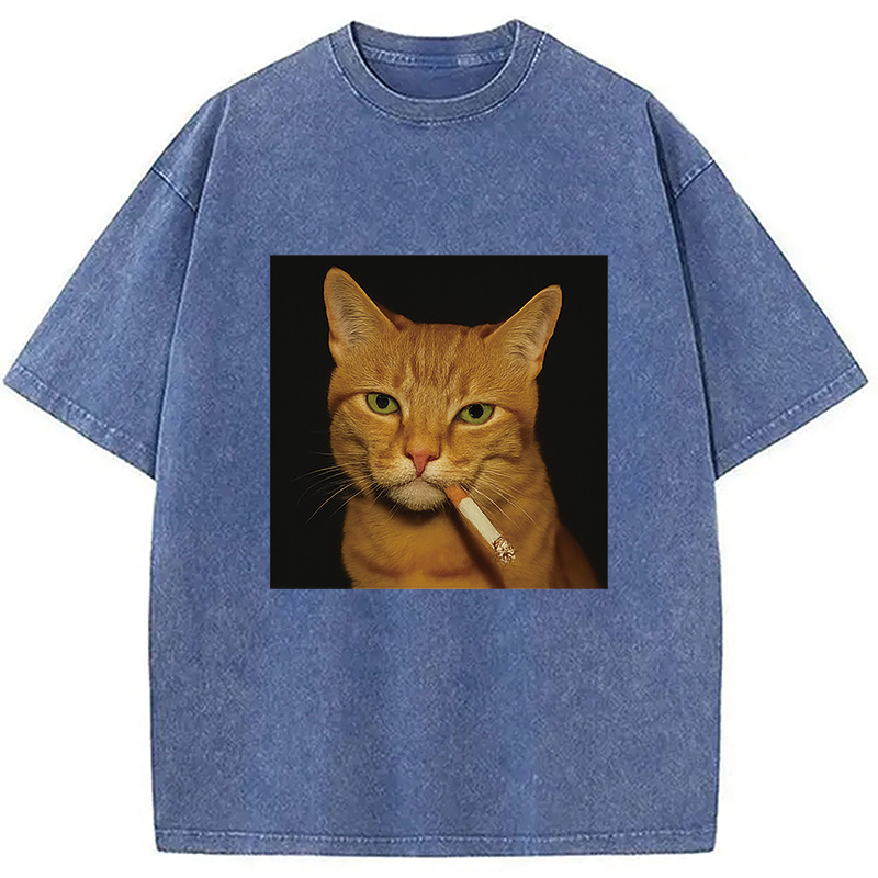 Funny Orange Cat Smoking Meme Washed T-Shirt