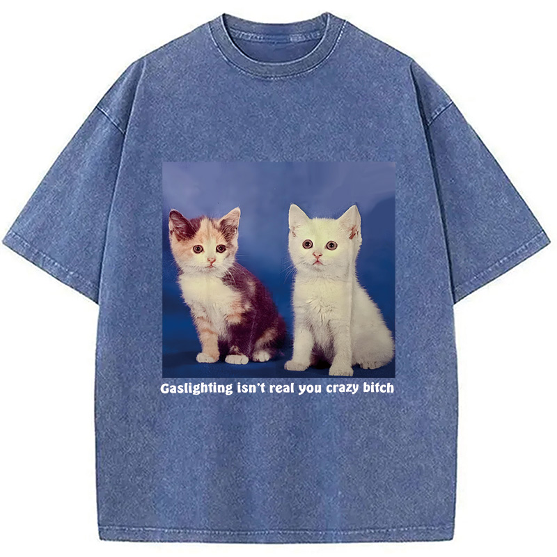Gaslighting Isn't Real You Crazy Bit*h Washed T-Shirt