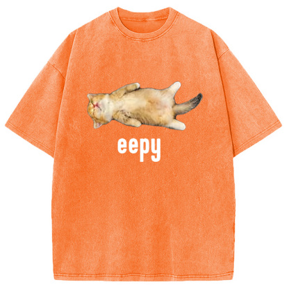 Silly Sleepy Cat Meme Washed T-Shirt