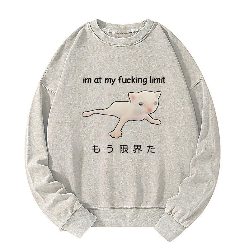 Cat Reaching Its Limit Washed Sweatshirt