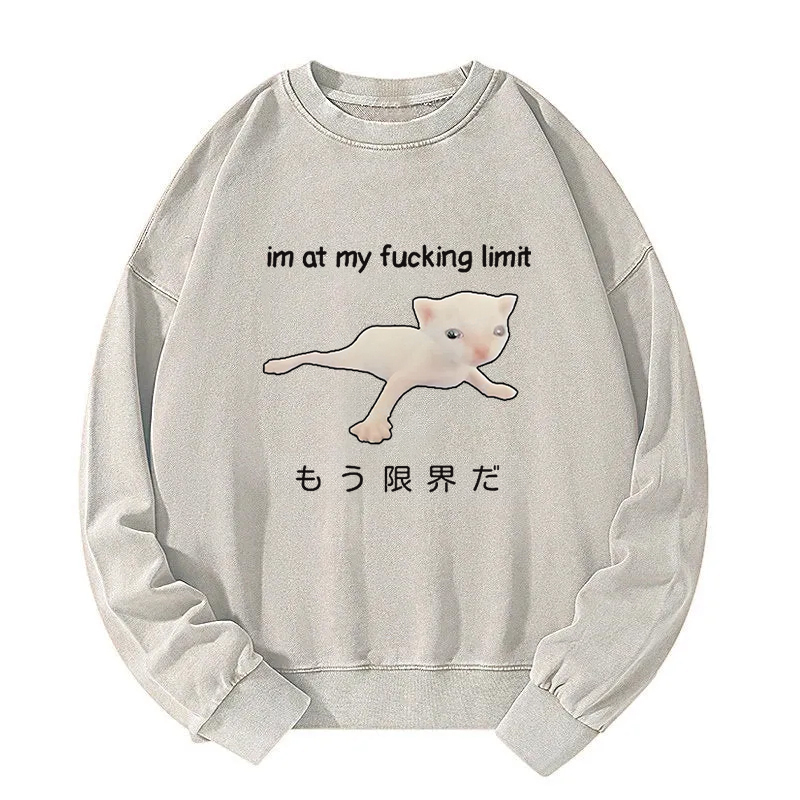 Cat Reaching Its Limit Washed Sweatshirt