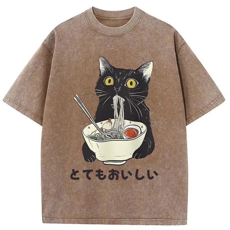 Cats Eat Ramen Noodles Washed T-Shirt