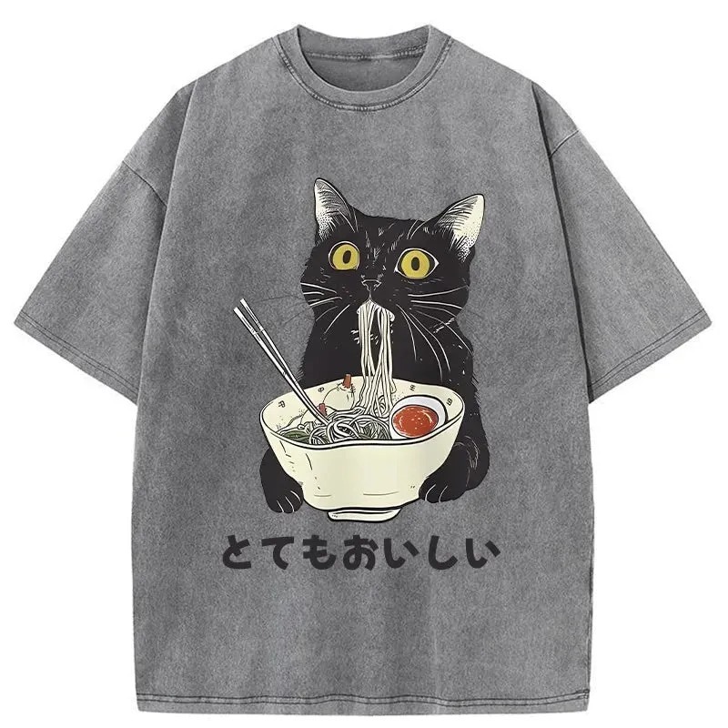 Cats Eat Ramen Noodles Washed T-Shirt