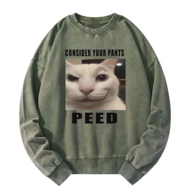 Consider Your Pants Peed Meme Washed Sweatshirt